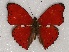  ( - ABRI_233)  @11 [ ] Unspecified (default): All Rights Reserved  Unspecified Unspecified