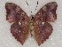  ( - ABRI_233)  @11 [ ] Unspecified (default): All Rights Reserved  Unspecified Unspecified