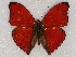  ( - ABRI_234)  @11 [ ] Unspecified (default): All Rights Reserved  Unspecified Unspecified