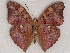  ( - ABRI_234)  @11 [ ] Unspecified (default): All Rights Reserved  Unspecified Unspecified