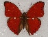  ( - ABRI_235)  @11 [ ] Unspecified (default): All Rights Reserved  Unspecified Unspecified
