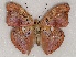  ( - ABRI_235)  @11 [ ] Unspecified (default): All Rights Reserved  Unspecified Unspecified