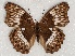  ( - ABRI_245)  @11 [ ] Unspecified (default): All Rights Reserved  Unspecified Unspecified