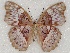 ( - ABRI_245)  @11 [ ] Unspecified (default): All Rights Reserved  Unspecified Unspecified