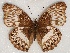  ( - ABRI_246)  @11 [ ] Unspecified (default): All Rights Reserved  Unspecified Unspecified