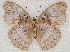  ( - ABRI_246)  @11 [ ] Unspecified (default): All Rights Reserved  Unspecified Unspecified