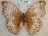  ( - RMCA-RV-234)  @11 [ ] Unspecified (default): All Rights Reserved  Unspecified Unspecified