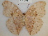  ( - RMCA-RV-234)  @11 [ ] Unspecified (default): All Rights Reserved  Unspecified Unspecified