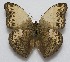  ( - GW_13075.0)  @13 [ ] Unspecified (default): All Rights Reserved  Unspecified Unspecified