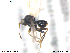  ( - CYNNI108)  @12 [ ] CreativeCommons - Attribution Non-Commercial Share-Alike (2013) Arnstein Staverlokk Norwegian Institute of Nature Research
