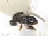  ( - CYNNI117)  @12 [ ] CreativeCommons - Attribution Non-Commercial Share-Alike (2013) Arnstein Staverlokk Norwegian Institute of Nature Research