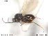  ( - CYNNI121)  @12 [ ] CreativeCommons - Attribution Non-Commercial Share-Alike (2013) Arnstein Staverlokk Norwegian Institute of Nature Research