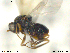  ( - CYNNI134)  @12 [ ] CreativeCommons - Attribution Non-Commercial Share-Alike (2013) Arnstein Staverlokk Norwegian Institute of Nature Research