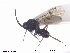  ( - CYNNI26)  @13 [ ] CreativeCommons - Attribution Non-Commercial Share-Alike (2013) Arnstein Staverlokk Norwegian Institute of Nature Research
