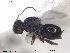  ( - CYNNI48)  @13 [ ] CreativeCommons - Attribution Non-Commercial Share-Alike (2013) Arnstein Staverlokk Norwegian Institute of Nature Research