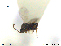  ( - CYNNI97)  @12 [ ] CreativeCommons - Attribution Non-Commercial Share-Alike (2013) Arnstein Staverlokk Norwegian Institute of Nature Research
