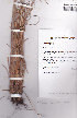  ( - AMM2207)  @11 [ ] No Rights Reserved  Unspecified Unspecified
