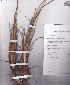  ( - AMM2214)  @11 [ ] No Rights Reserved  Unspecified Unspecified