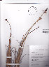  ( - AMM2214)  @11 [ ] No Rights Reserved  Unspecified Unspecified