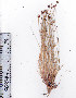  ( - AMM3011)  @11 [ ] No Rights Reserved  Unspecified Unspecified