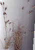  ( - AMM5692)  @11 [ ] No Rights Reserved  Unspecified Unspecified