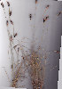  ( - AMM5692)  @11 [ ] No Rights Reserved  Unspecified Unspecified