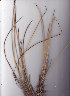  ( - AMM5696)  @11 [ ] No Rights Reserved  Unspecified Unspecified