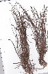  ( - AMM5860)  @11 [ ] No Rights Reserved  Unspecified Unspecified