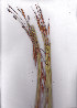  ( - AMM5946)  @11 [ ] No Rights Reserved  Unspecified Unspecified