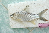  ( - MHP-H30)  @11 [ ] CreativeCommons - Attribution Non-Commercial Share-Alike (2015) Manh Hung Pham University of Science Ho Chi Minh