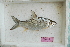  ( - MHP-H29)  @11 [ ] CreativeCommons - Attribution Non-Commercial Share-Alike (2015) Manh Hung Pham University of Science Ho Chi Minh