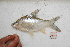  ( - MHP-H05)  @11 [ ] CreativeCommons - Attribution Non-Commercial Share-Alike (2015) Huy Duc Hoang University of Science Ho Chi Minh