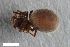 ( - ZFMK-TIS-8008402)  @11 [ ] CreativeCommons  Attribution Share-Alike (by-sa) 4.0 (2019) Unspecified Zoologisches Forschungsmuseum Alexander Koenig