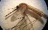  ( - FI 629-07)  @11 [ ] Copyright (2018) C. Lorna Culverwell Unspecified