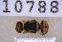  ( - UHIM.ms10788)  @11 [ ] BY-NC-ND (2023) University of Hawaii Insect Museum UHIM