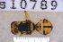  ( - UHIM.ms10789)  @11 [ ] BY-NC-ND (2023) University of Hawaii Insect Museum UHIM