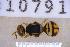  ( - UHIM.ms10791)  @11 [ ] BY-NC-ND (2023) University of Hawaii Insect Museum UHIM