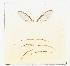  ( - UHIM.ms10793)  @11 [ ] BY-NC-ND (2023) University of Hawaii Insect Museum UHIM