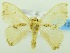  ( - USNM ENT 00800153)  @14 [ ] Unspecified (default): All Rights Reserved  Unspecified Unspecified