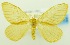  ( - USNM ENT 00800162)  @14 [ ] Unspecified (default): All Rights Reserved  Unspecified Unspecified