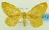 ( - USNM ENT 00800163)  @15 [ ] Unspecified (default): All Rights Reserved  Unspecified Unspecified
