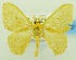  ( - USNM ENT 00800168)  @11 [ ] Unspecified (default): All Rights Reserved  Unspecified Unspecified