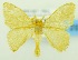  ( - USNM ENT 00800175)  @15 [ ] Unspecified (default): All Rights Reserved  Unspecified Unspecified