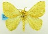  ( - USNM ENT 00808561)  @12 [ ] Unspecified (default): All Rights Reserved  Unspecified Unspecified