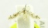  ( - USNM ENT 00808602)  @11 [ ] Unspecified (default): All Rights Reserved  Unspecified Unspecified