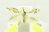  ( - USNM ENT 00808604)  @11 [ ] Unspecified (default): All Rights Reserved  Unspecified Unspecified