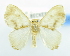  ( - USNM ENT 00980199)  @13 [ ] Unspecified (default): All Rights Reserved  Unspecified Unspecified