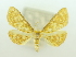  ( - BMNH ENT 2013-681)  @11 [ ] Unspecified (default): All Rights Reserved  Unspecified Unspecified