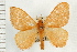  ( - USNM ENT 00678818)  @14 [ ] CreativeCommons - Attribution (2008) Unspecified Centre for Biodiversity Genomics