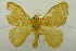  ( - USNM ENT 00719156)  @13 [ ] Unspecified (default): All Rights Reserved  Unspecified Unspecified